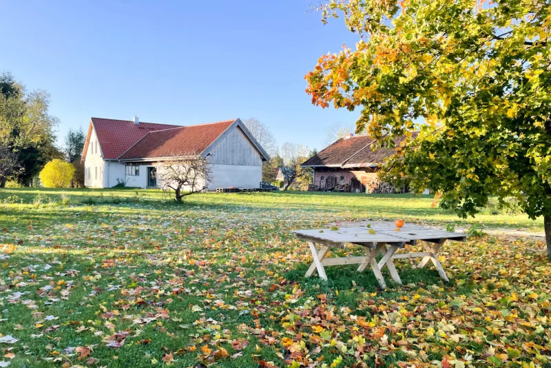 zdjęcie gospodarstwa w jesiennej aurze, kolorowe liście w trawie w ogrodzie